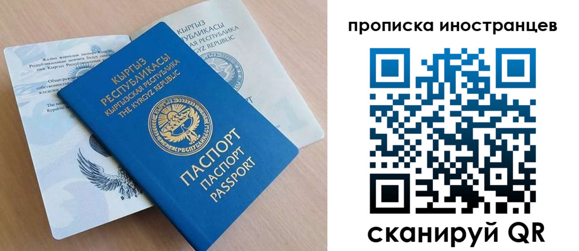 временная регистрация гарантия в Почепе